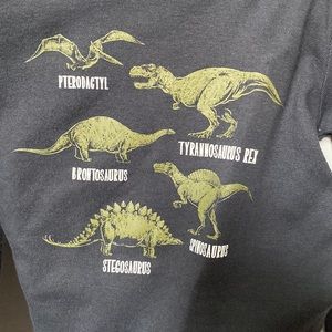 Toddler dinosaur pajama set